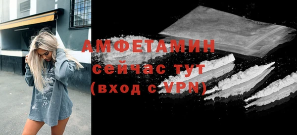 PSILOCYBIN Верея