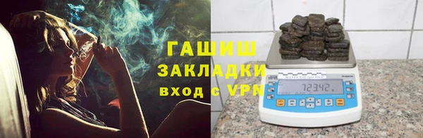 индика Бородино