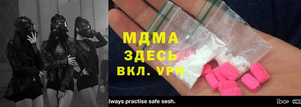 индика Бородино