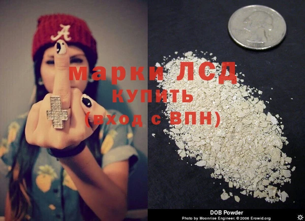 индика Бородино