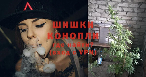 индика Бородино