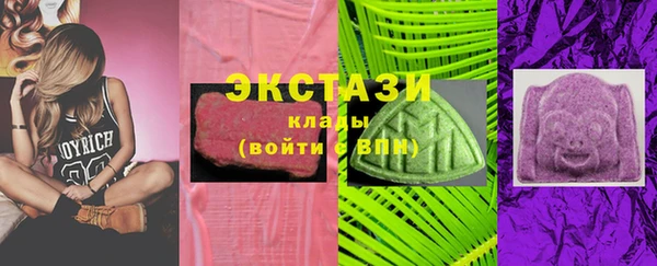 индика Бородино