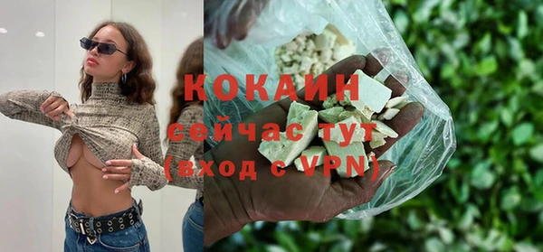 PSILOCYBIN Верея