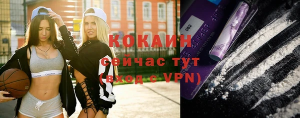 индика Бородино