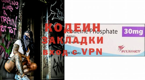 индика Бородино