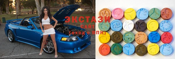 индика Бородино