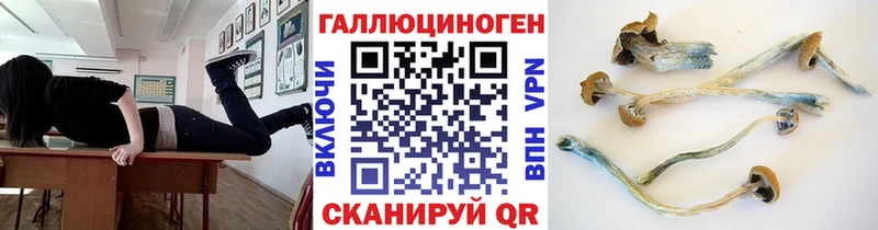 OMG зеркало  Киселёвск  Галлюциногенные грибы GOLDEN TEACHER 